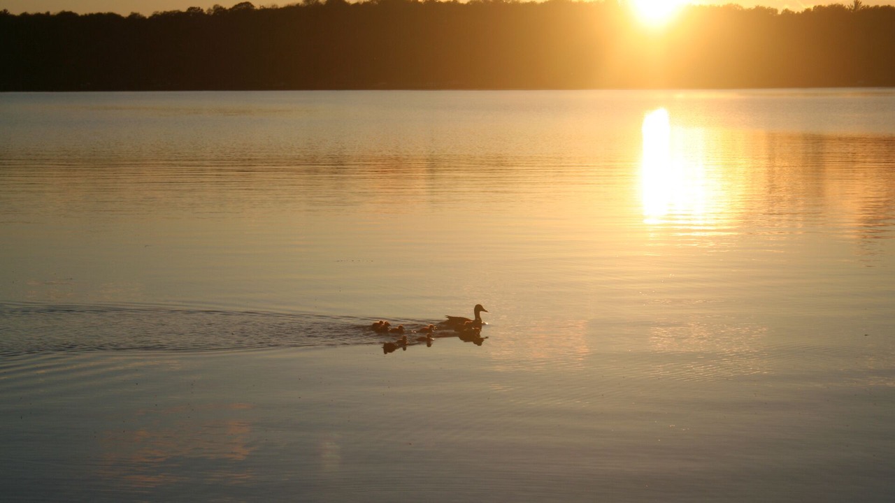 Photo of Others in Lake Shore