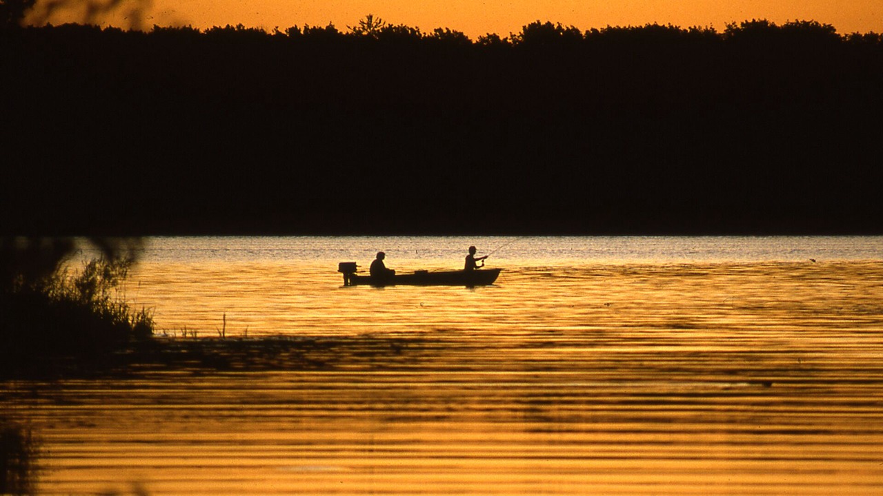 Photo of Others in Lake Shore