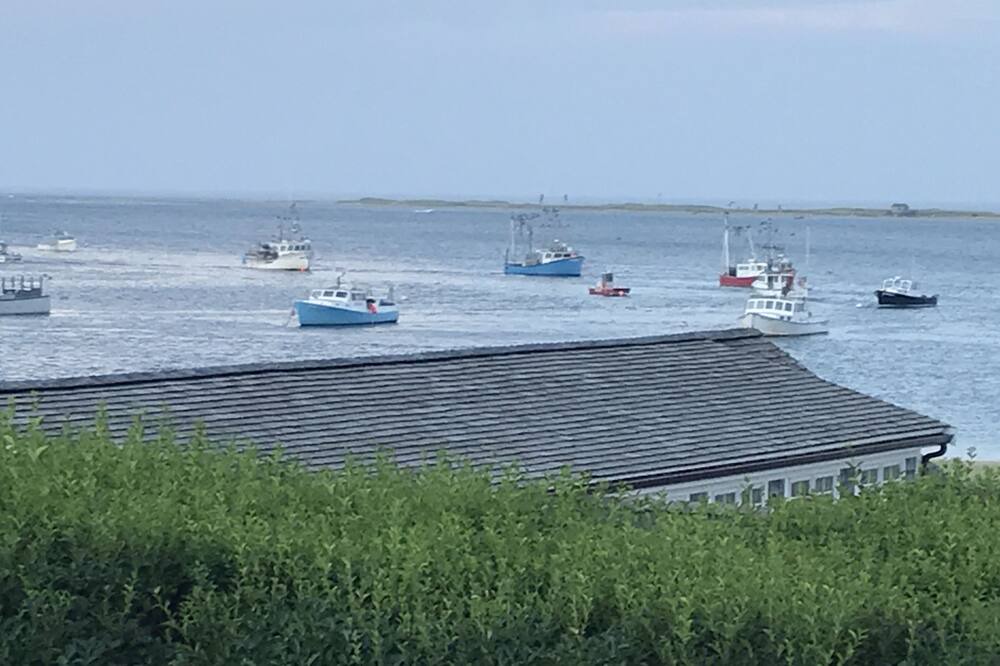 Photo of Others in West Chatham