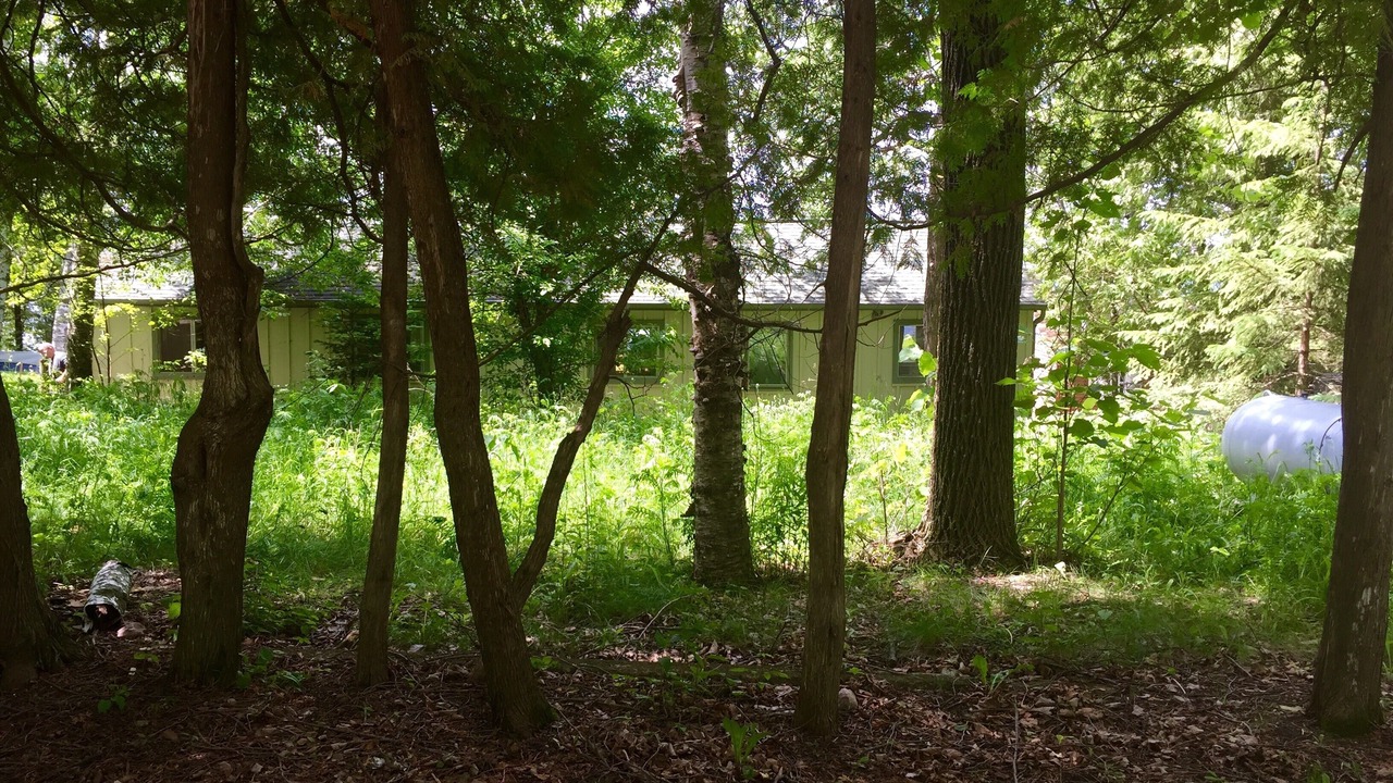 Photo of Outdoor in Bemidji