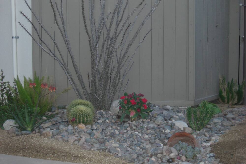 Photo of Others in Twin Palms