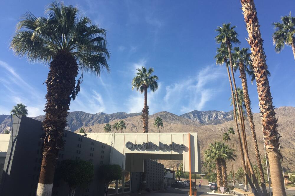 Photo of Others in Twin Palms