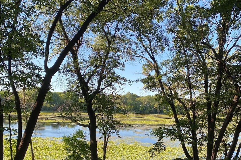Photo of Outdoor in St. Louis Park