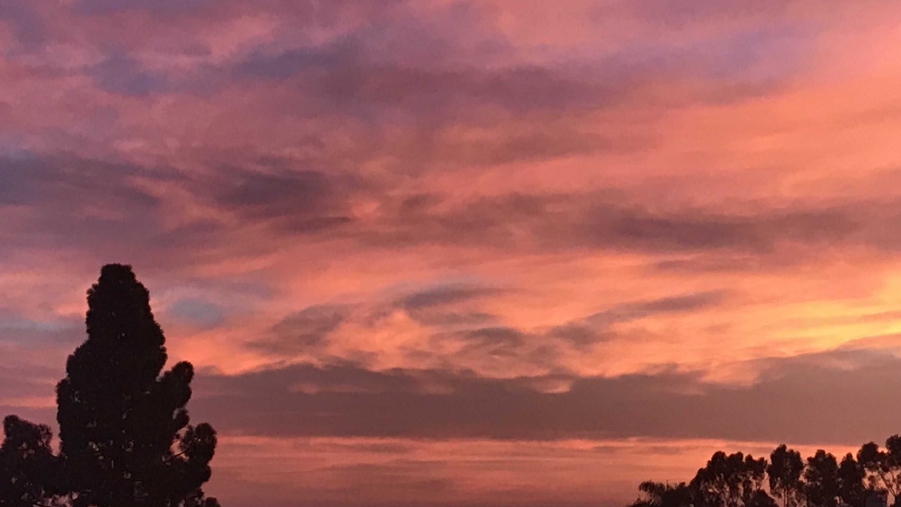 Photo of Others in Central Malibu