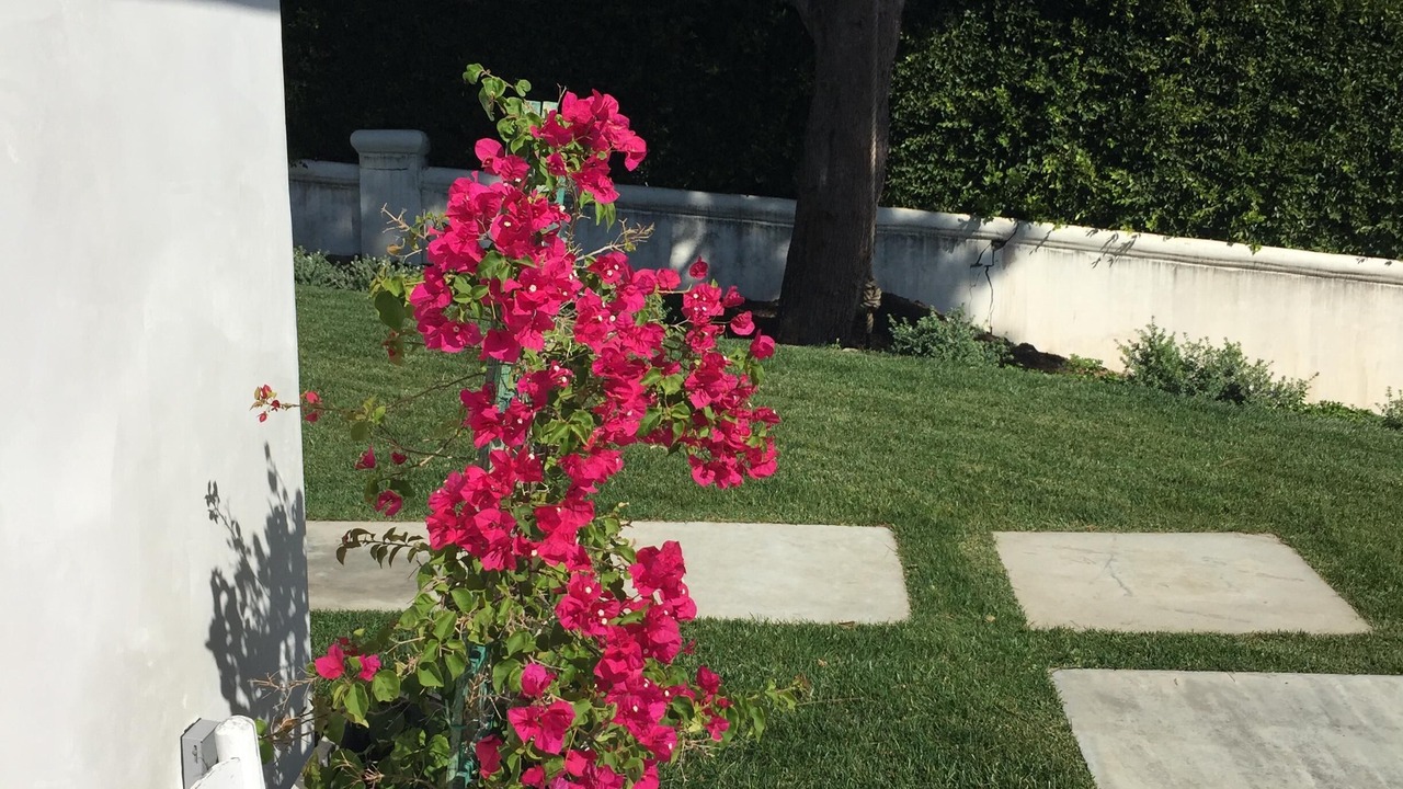 Photo of Outdoor in Central Malibu