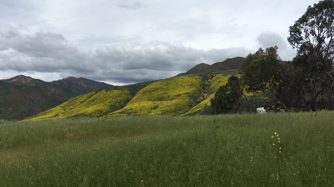 Photo of Others in Central Malibu