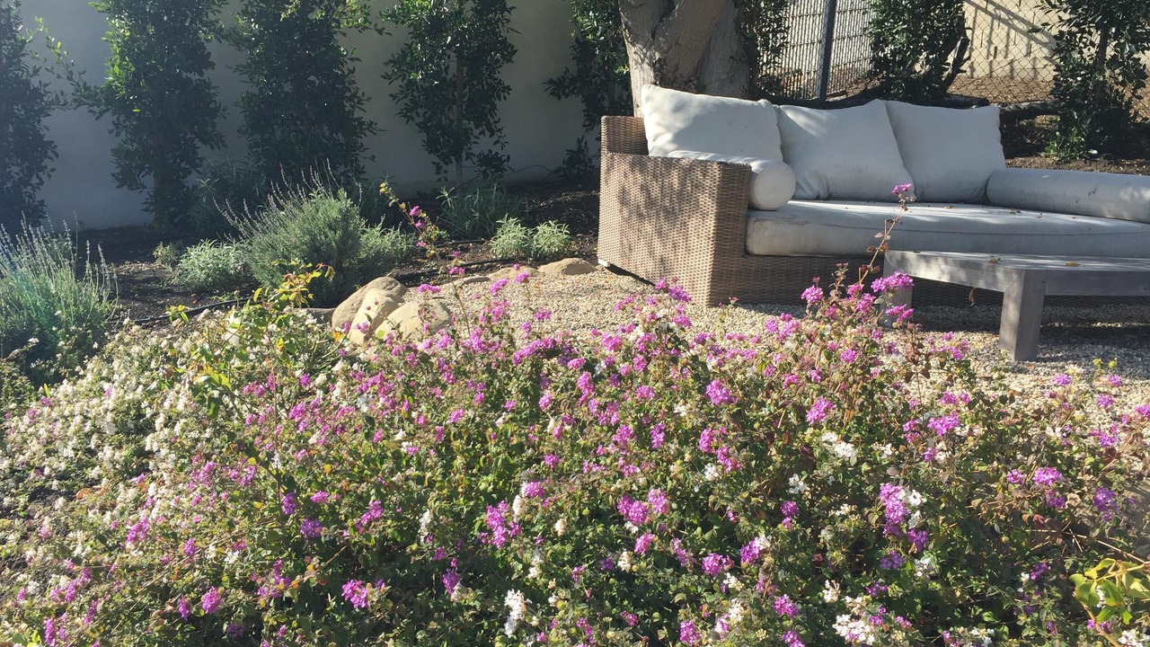 Photo of Outdoor in Central Malibu