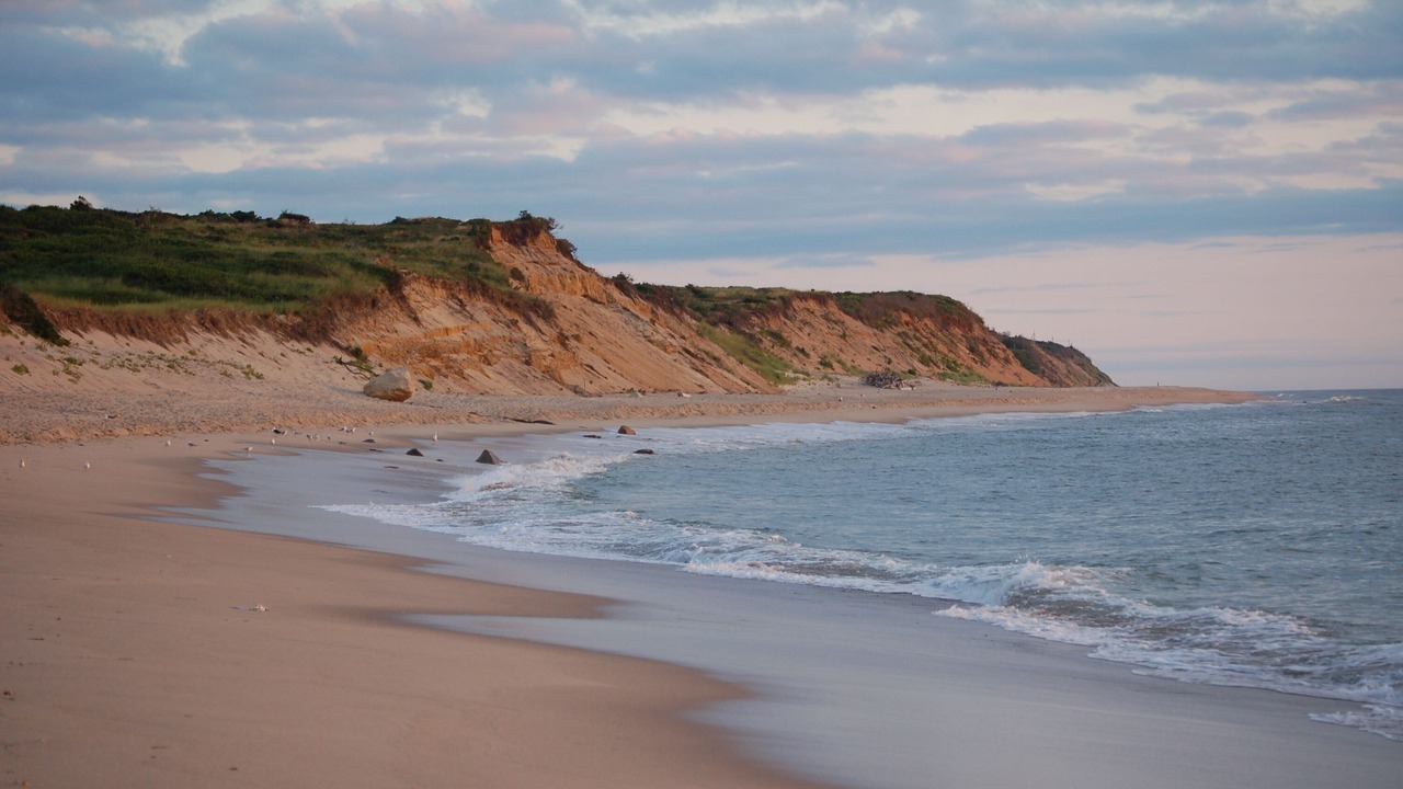 Photo of Others in Eastham