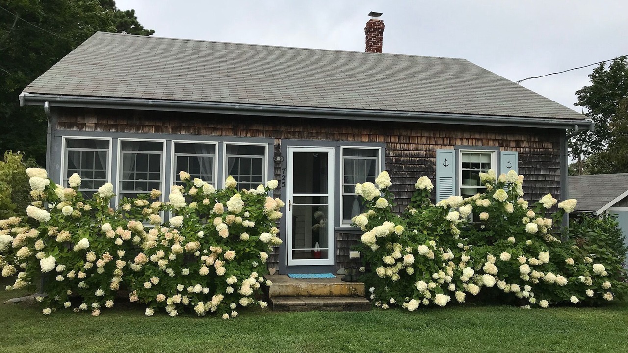 Photo of Outdoor in Eastham