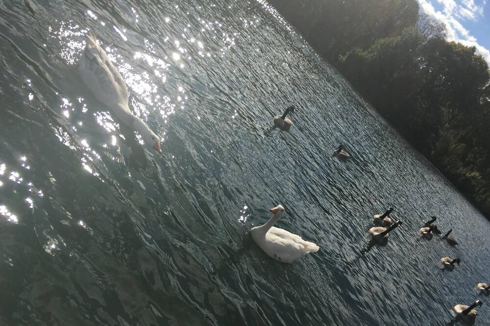 Photo of Others in Bougival