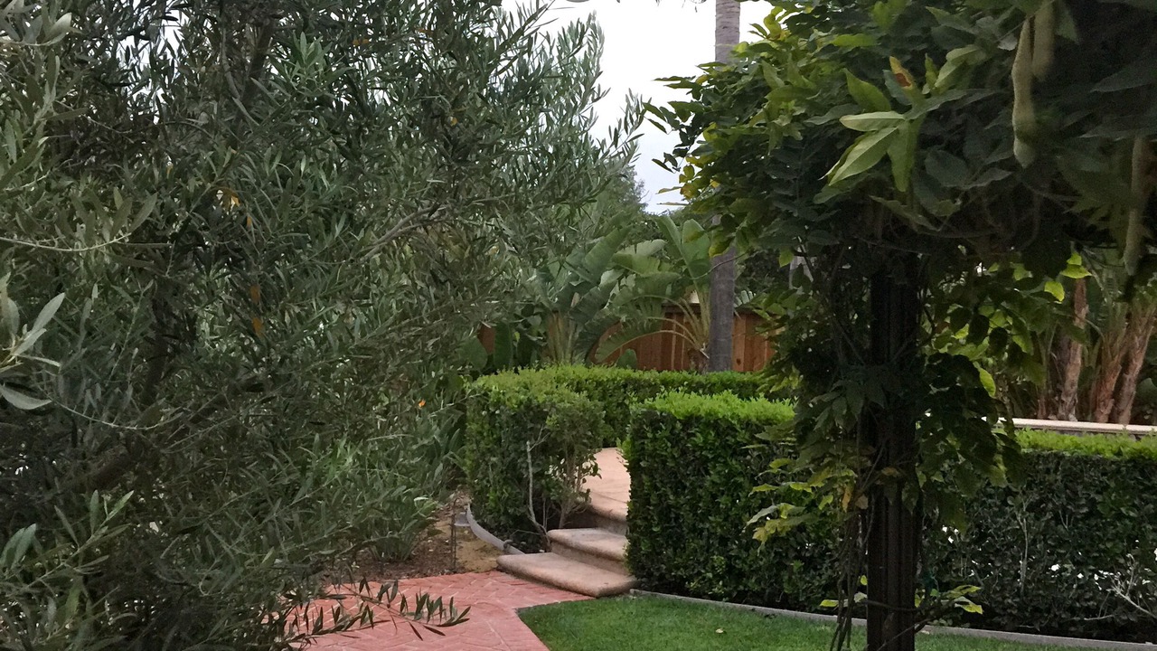 Photo of Outdoor in Camarillo