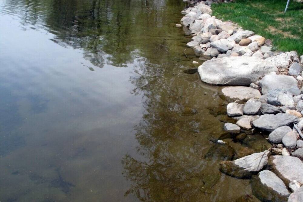 Photo of Others in South Haven