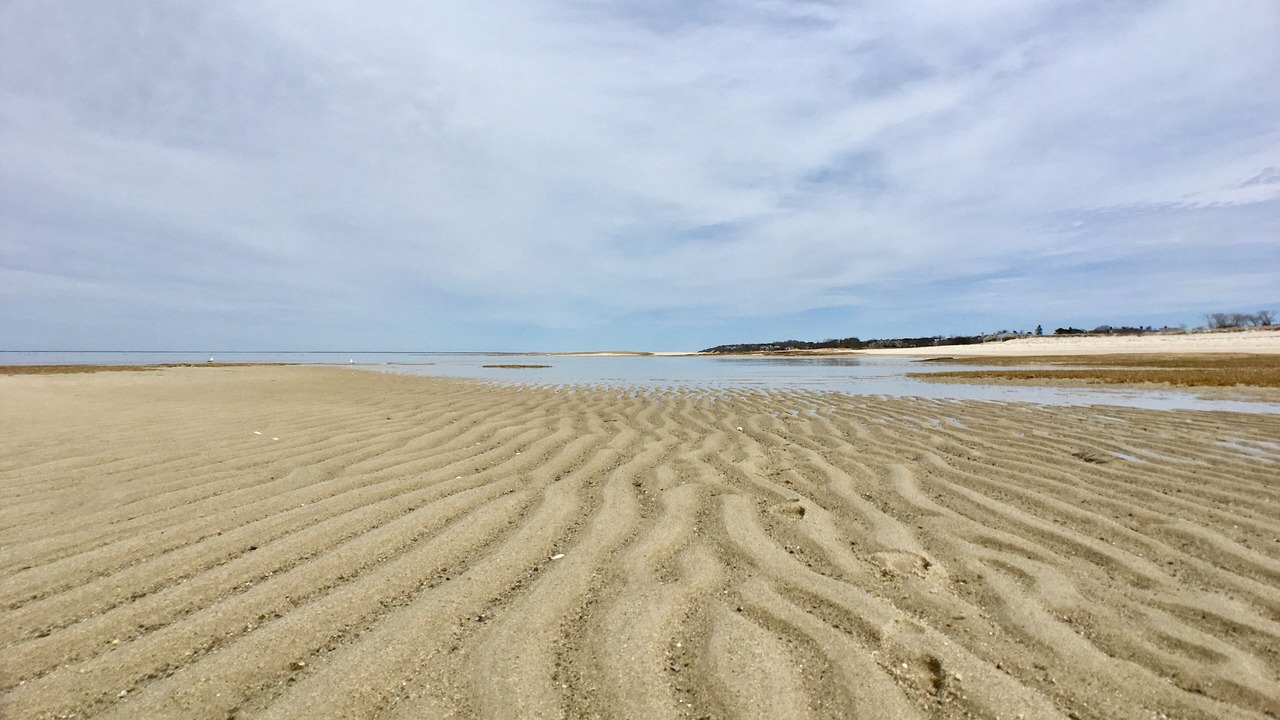 Photo of Others in Brewster
