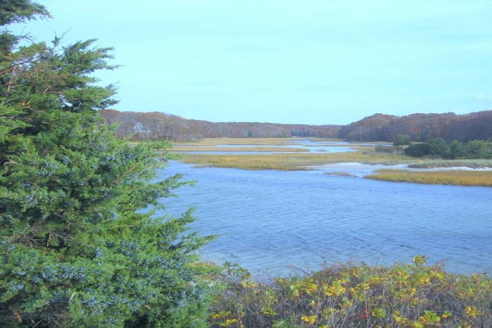 Photo of Others in West Falmouth