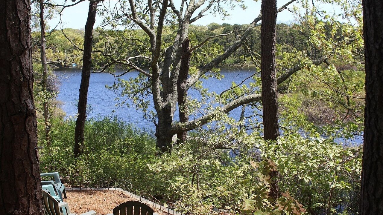 Photo of Outdoor in Eastham