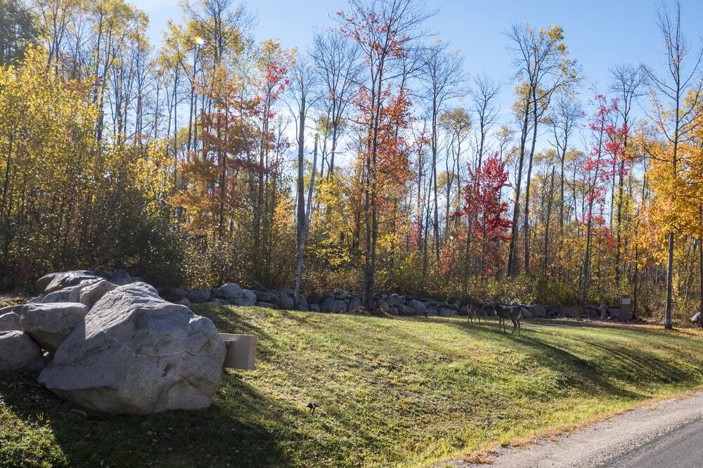 Photo of Outdoor in Embarrass