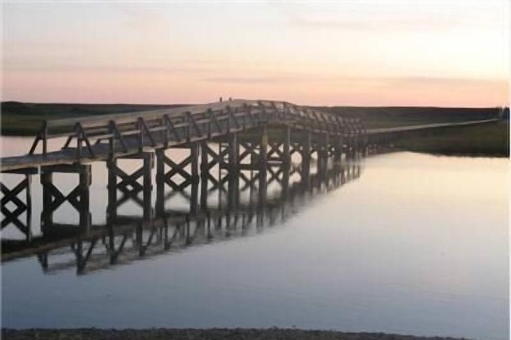 Photo of Others in Sandwich