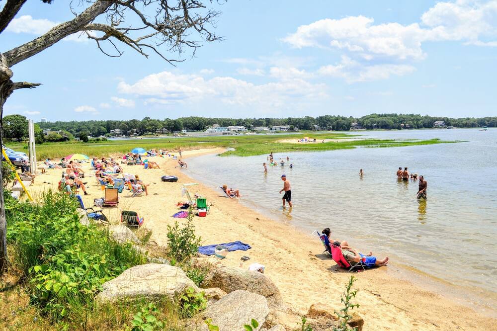 Photo of Others in Wareham