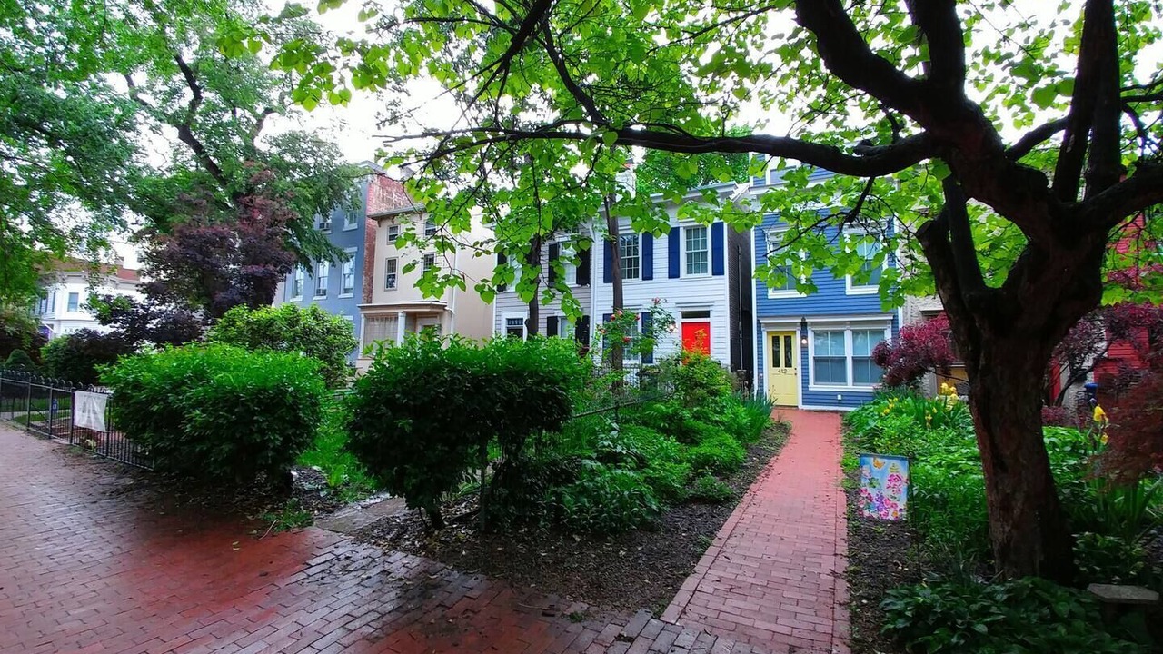 Photo of Outdoor in Capitol Hill
