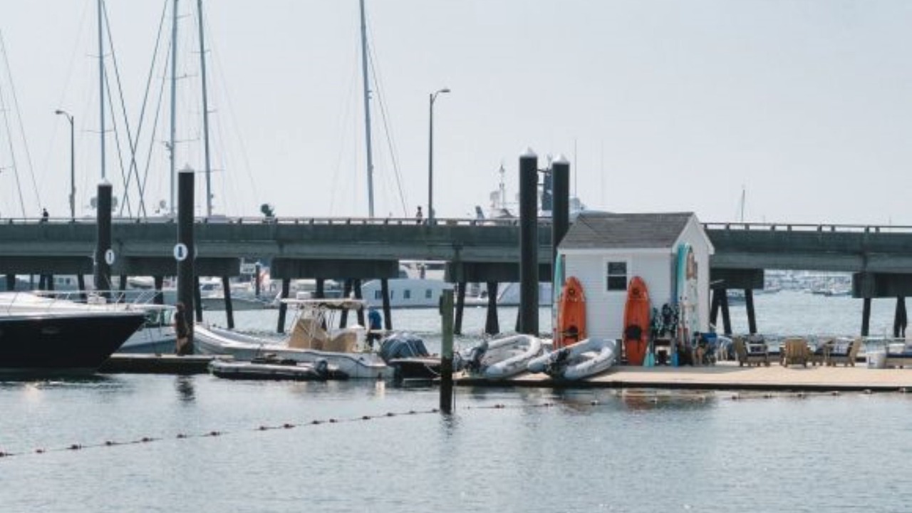 Photo of Others in Goat Island