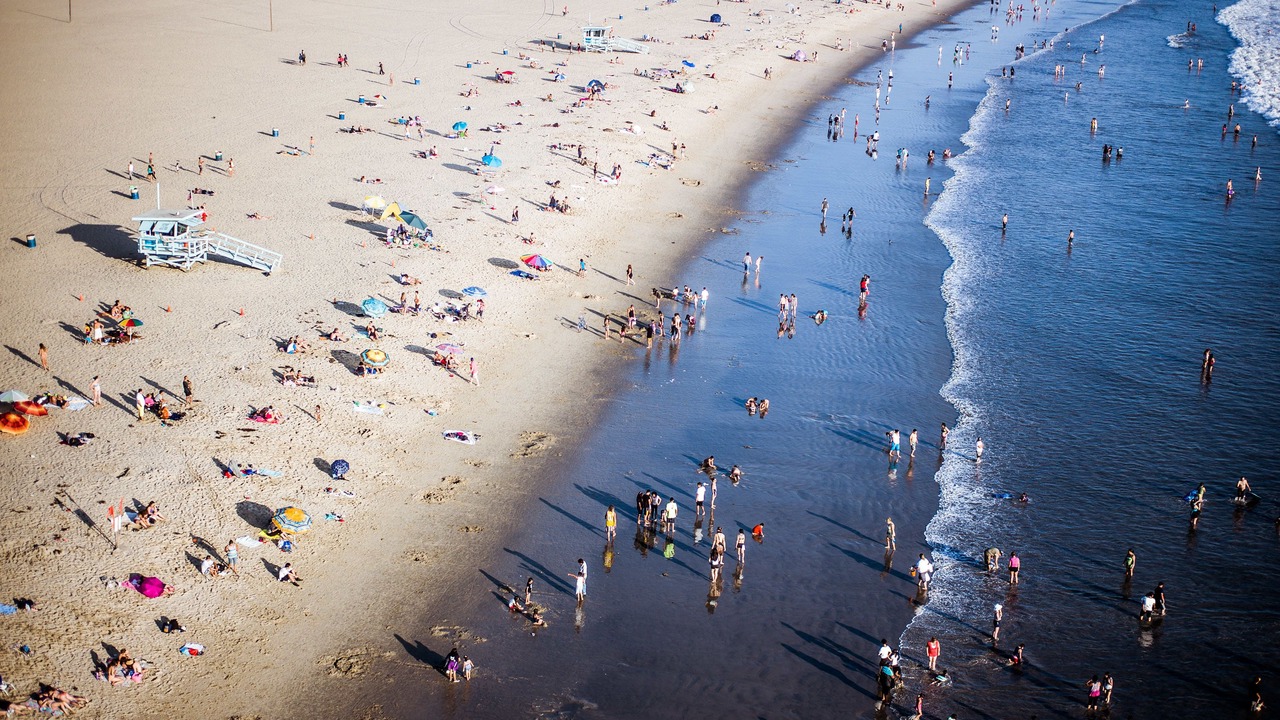 Photo of Others in Sunset Park