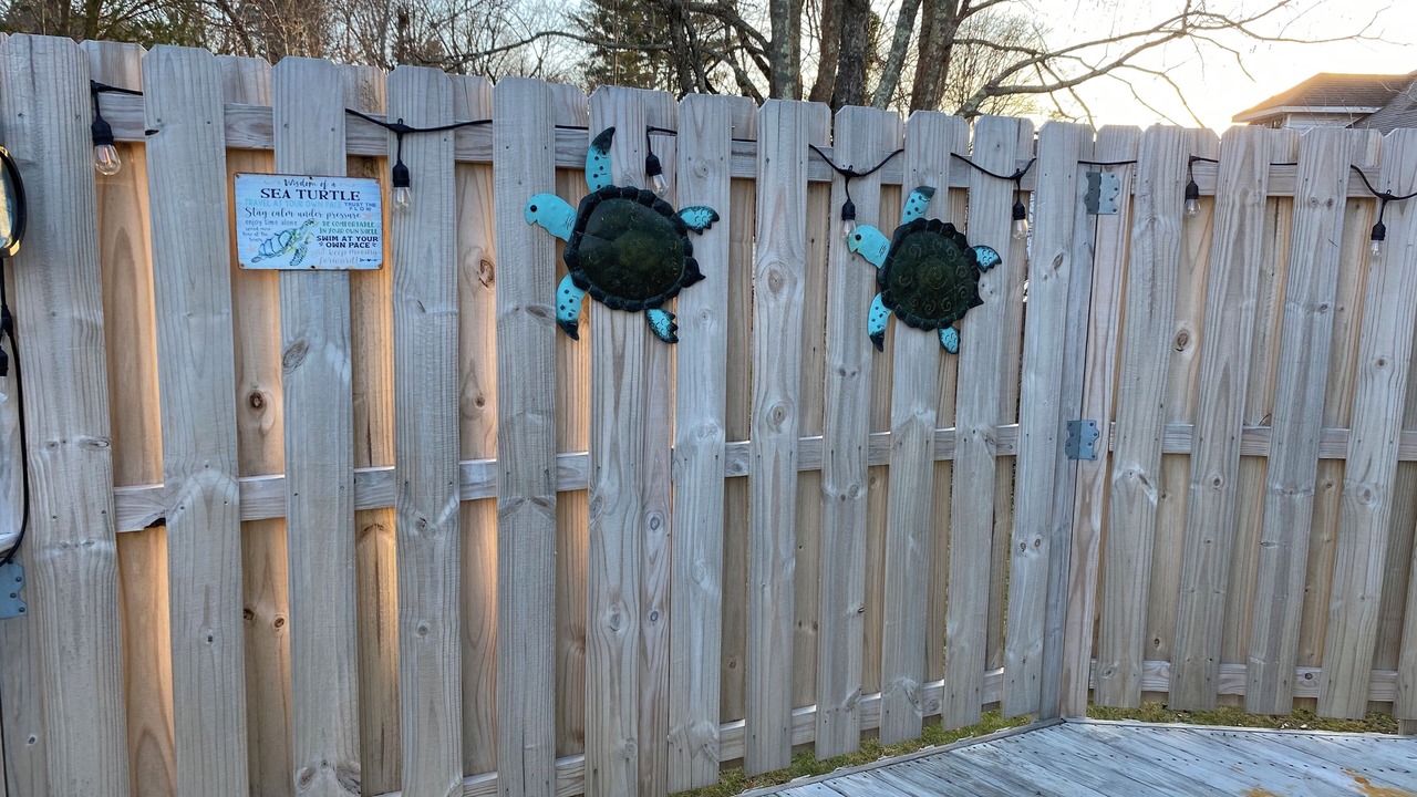 Photo of Outdoor in West Wareham