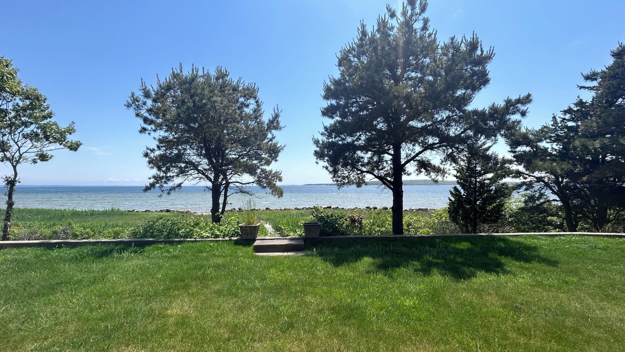 Photo of Outdoor in Wareham