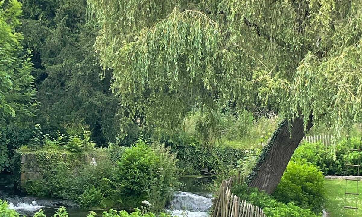 Photo of Outdoor in Senlis