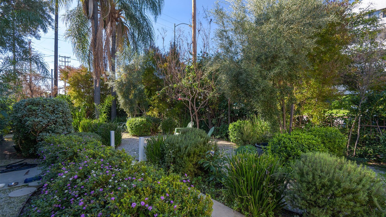 Photo of Outdoor in Valley Village
