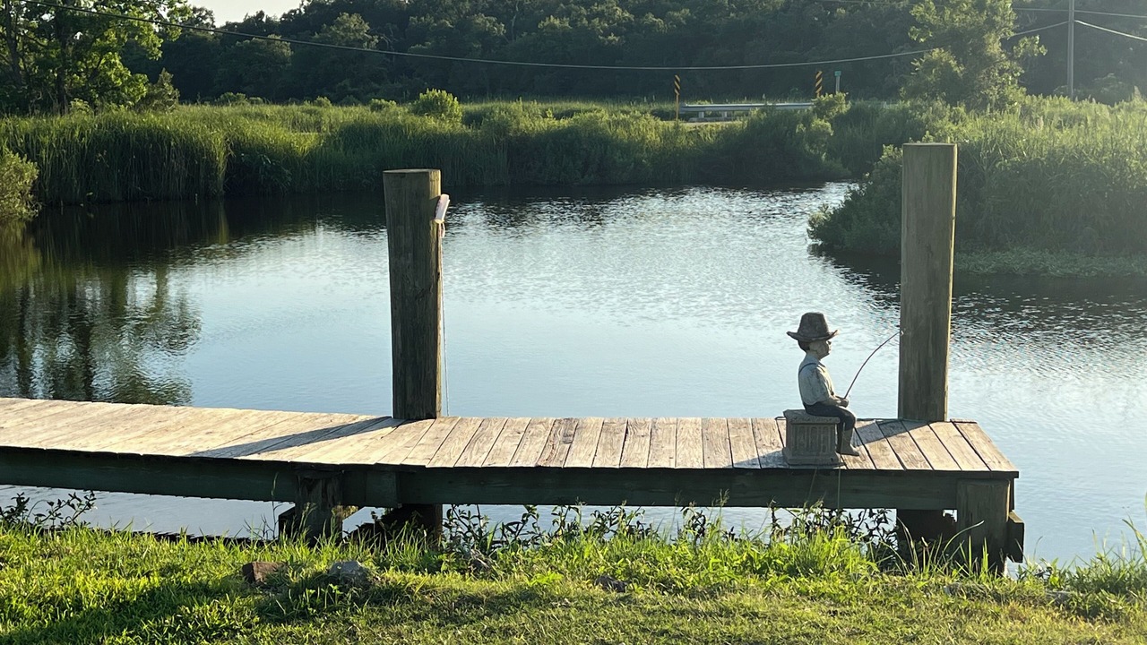 Photo of Outdoor in Shoreline Park