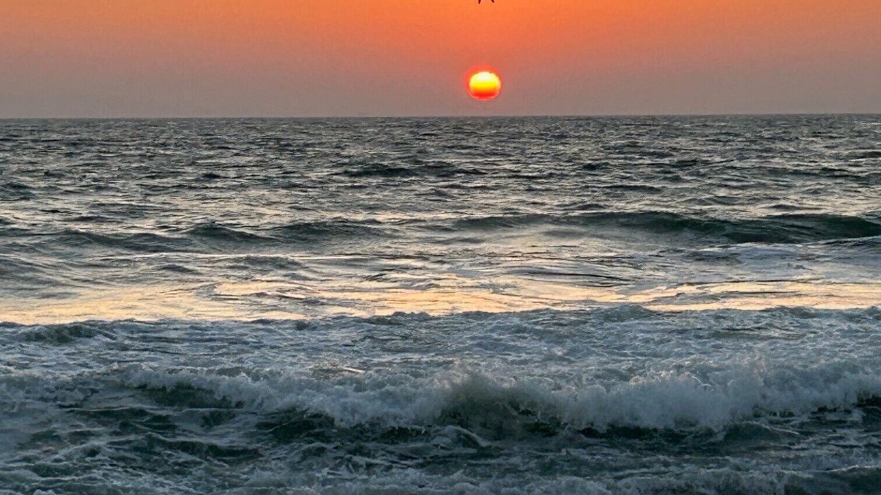 Photo of Others in Oxnard Shores