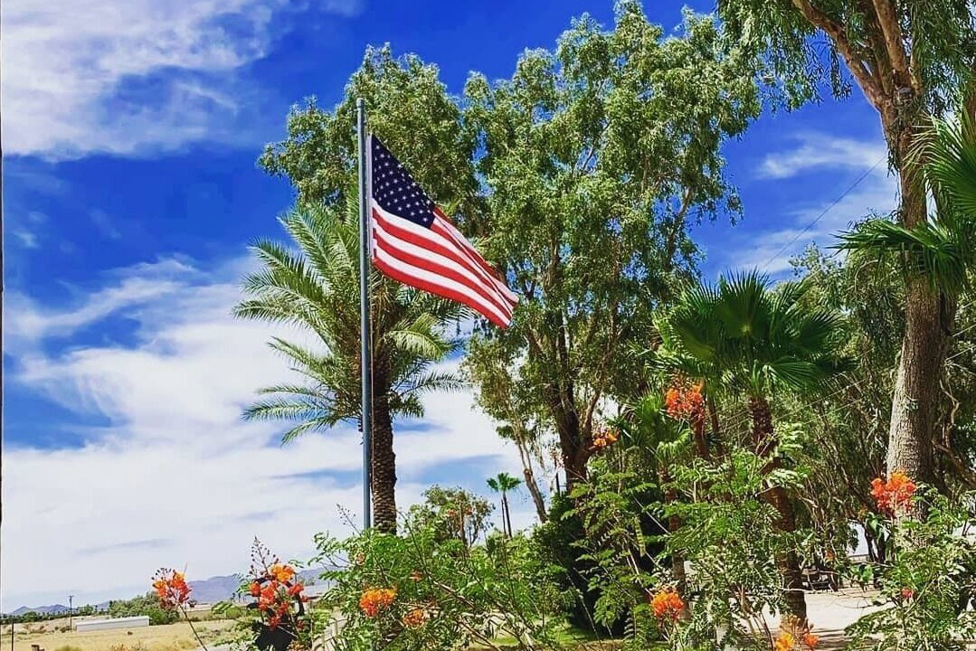 Photo of Outdoor in Needles