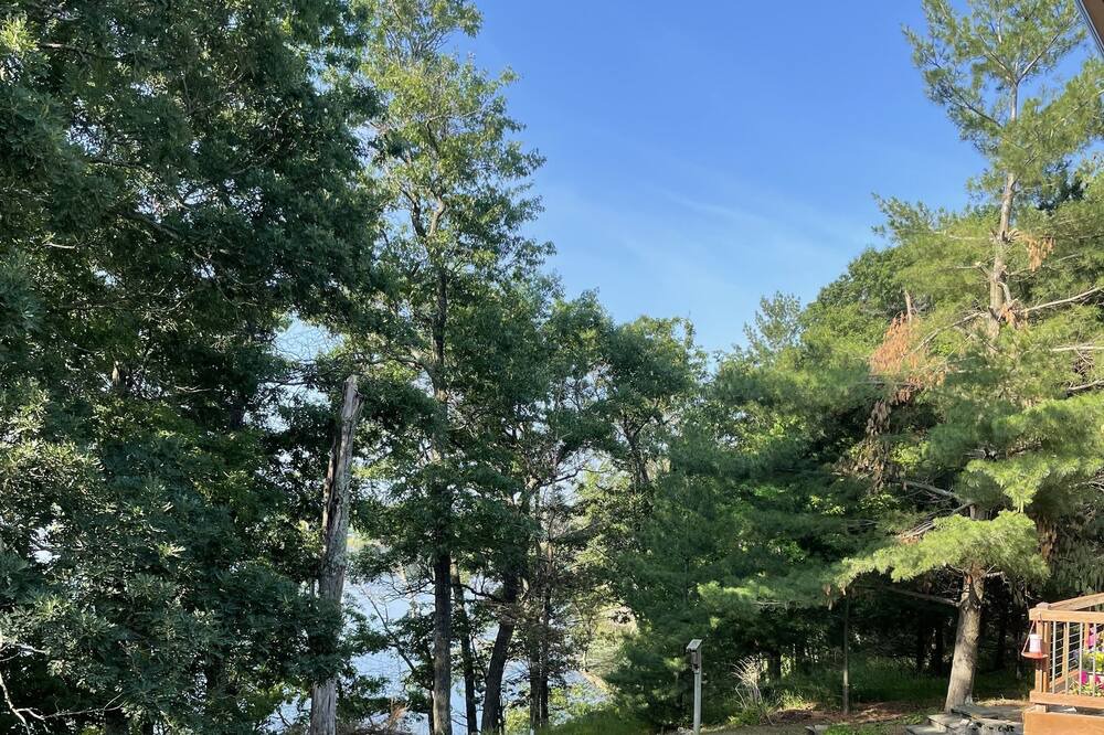Photo of Outdoor in Danbury