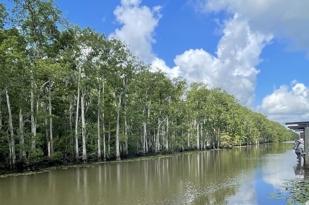 Photo of Others in Maurepas