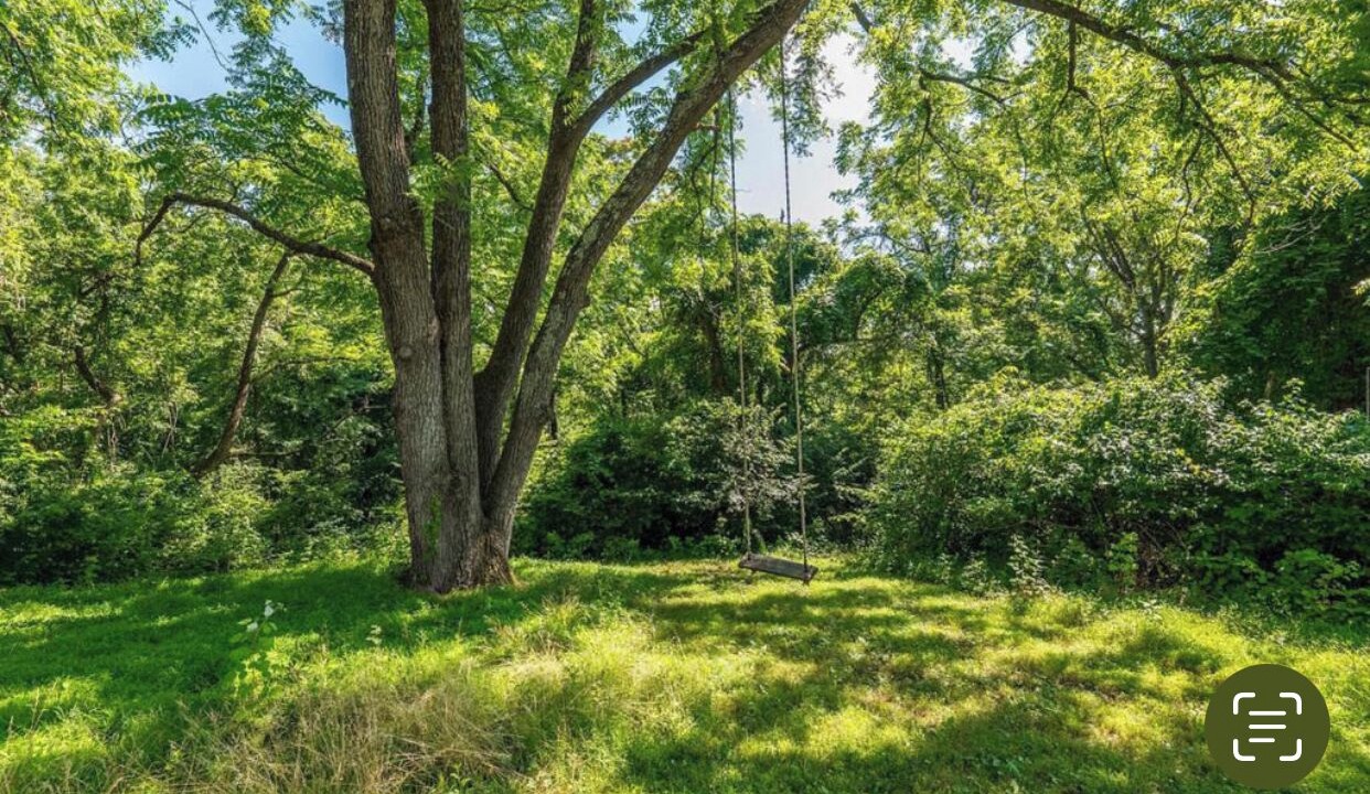Photo of Outdoor in Leesburg