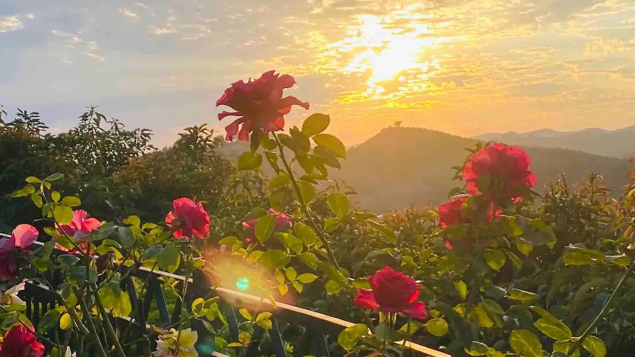 Photo of Outdoor in Somis