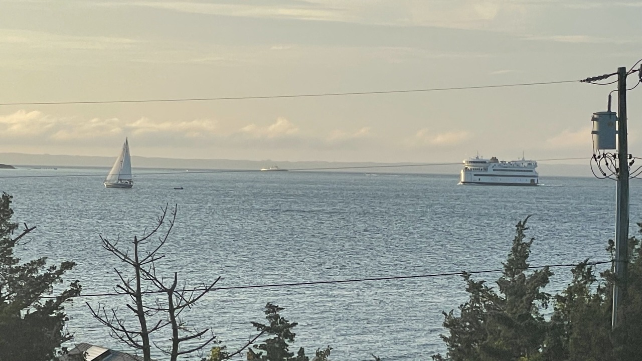 Photo of Others in East Chop