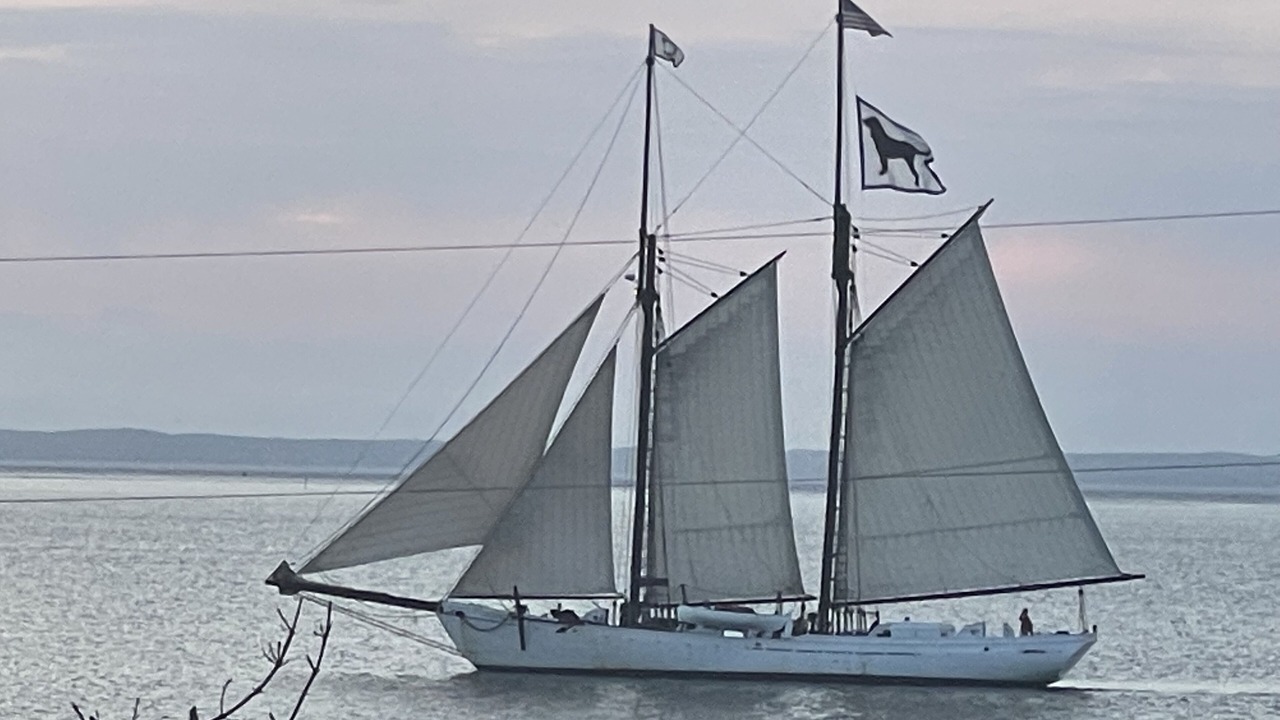 Photo of Others in East Chop