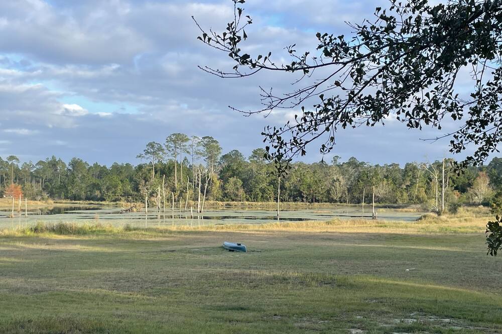 Photo of Others in Vancleave