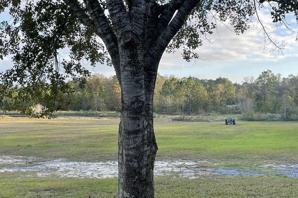 Photo of Others in Vancleave