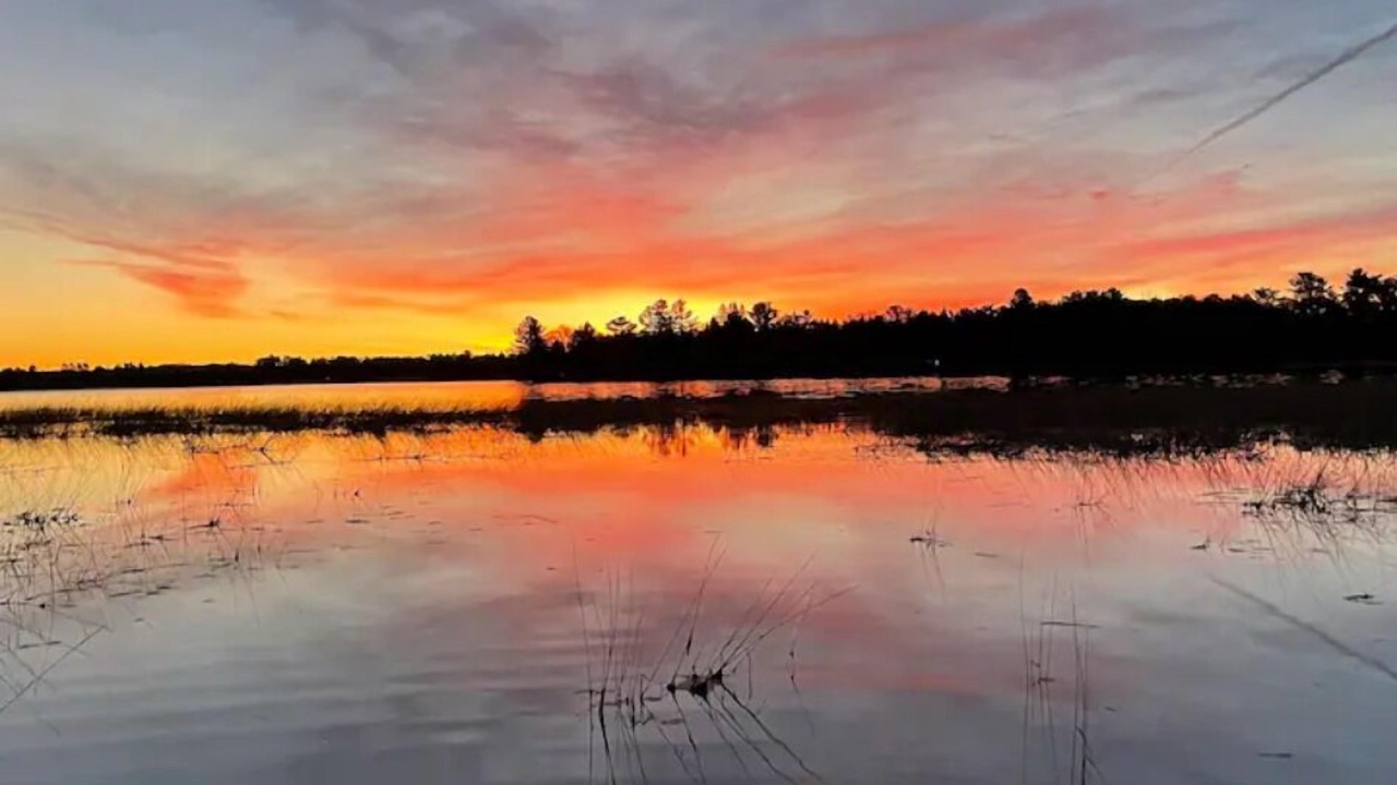Photo of Others in Pine River