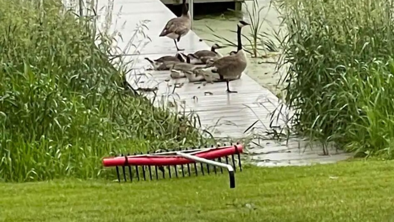 Photo of Others in Pine River