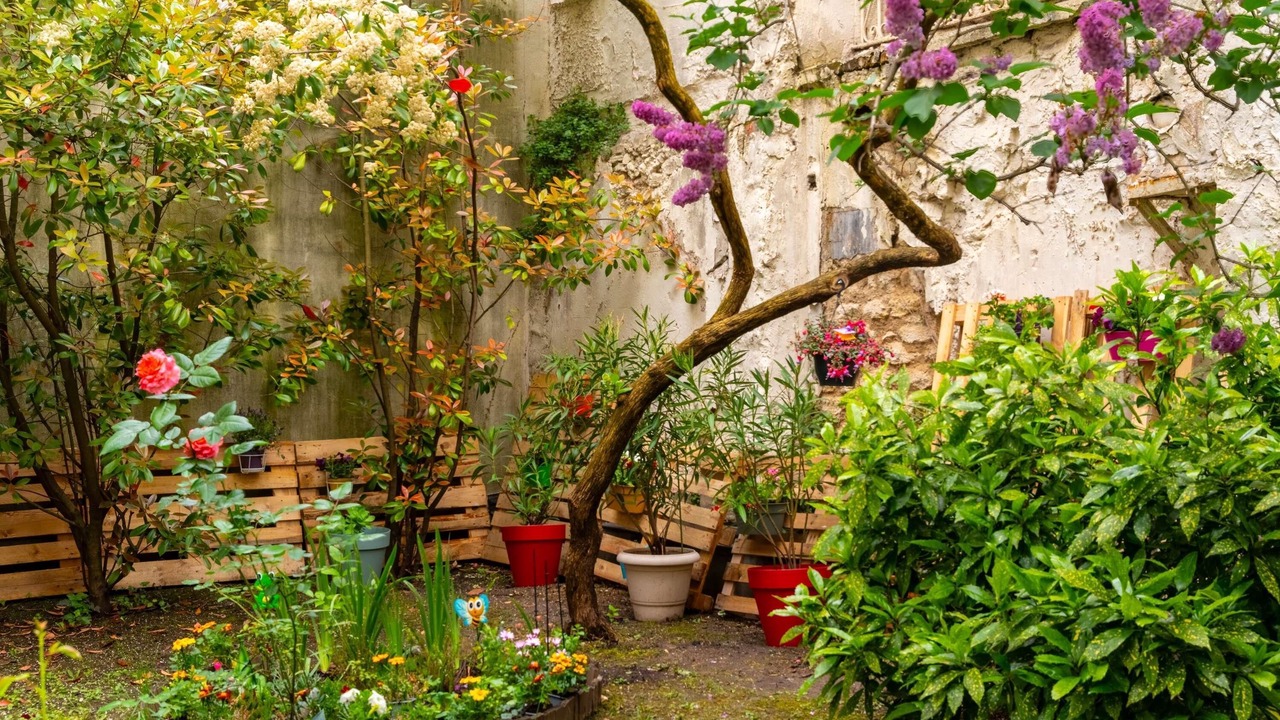 Photo of Outdoor in Vanves