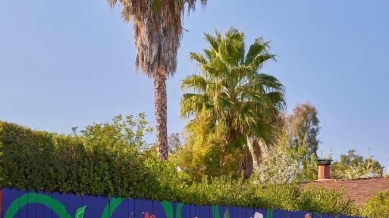Photo of Others in Ojai