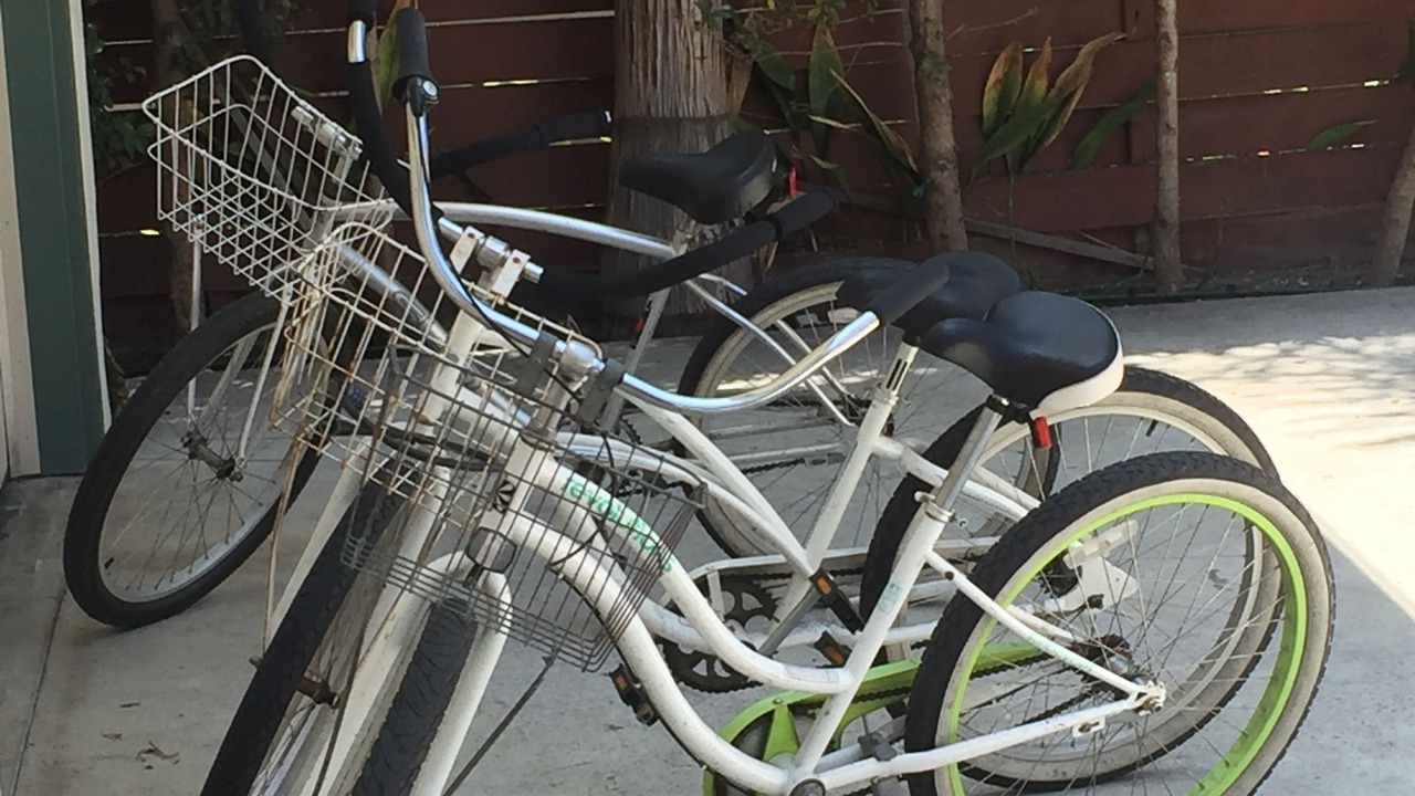 Photo of Outdoor in West Beach