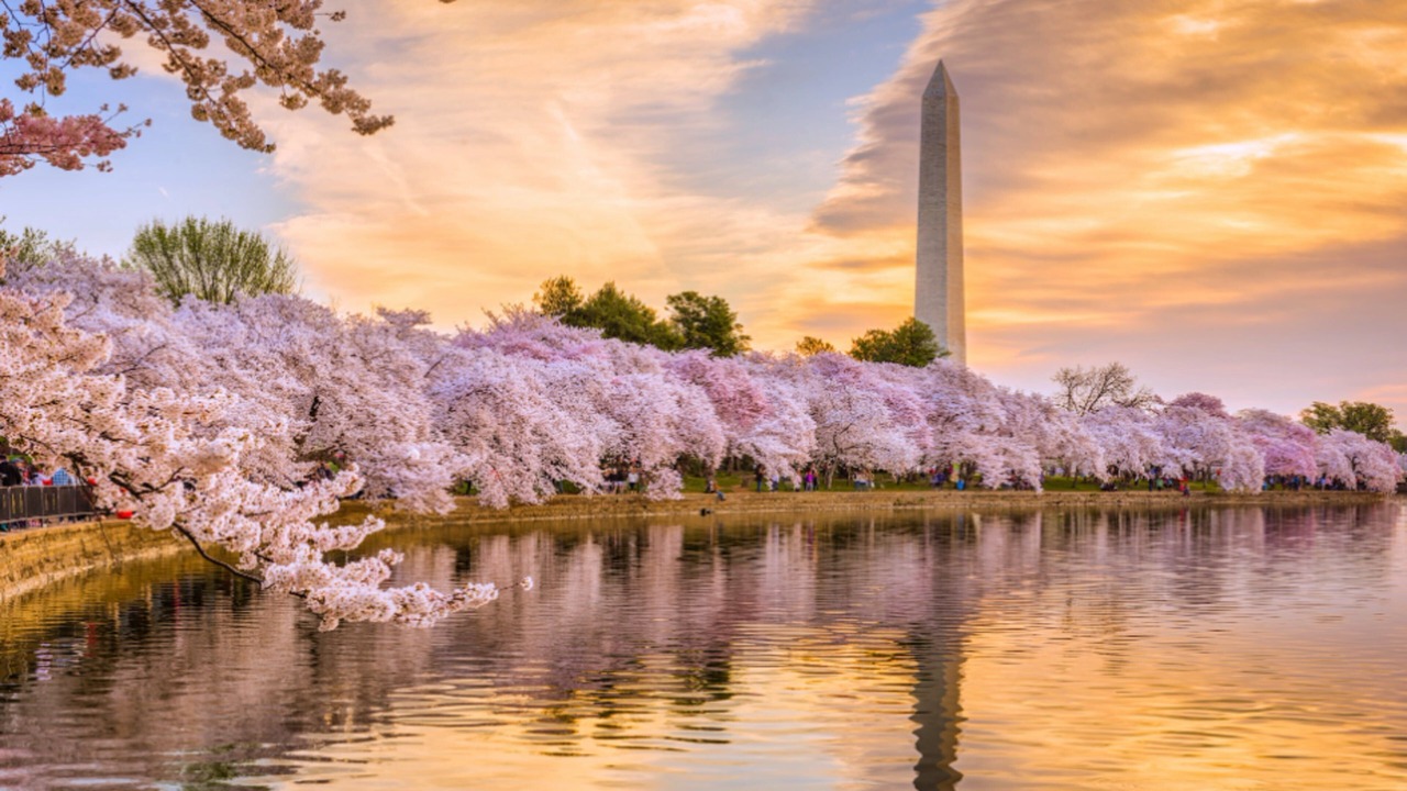 Photo of Others in Downtown Washington D.C.