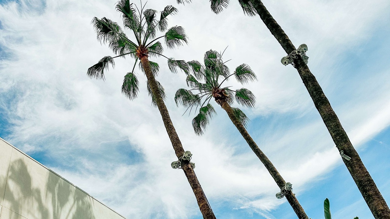 Photo of Outdoor in Beverly Hills