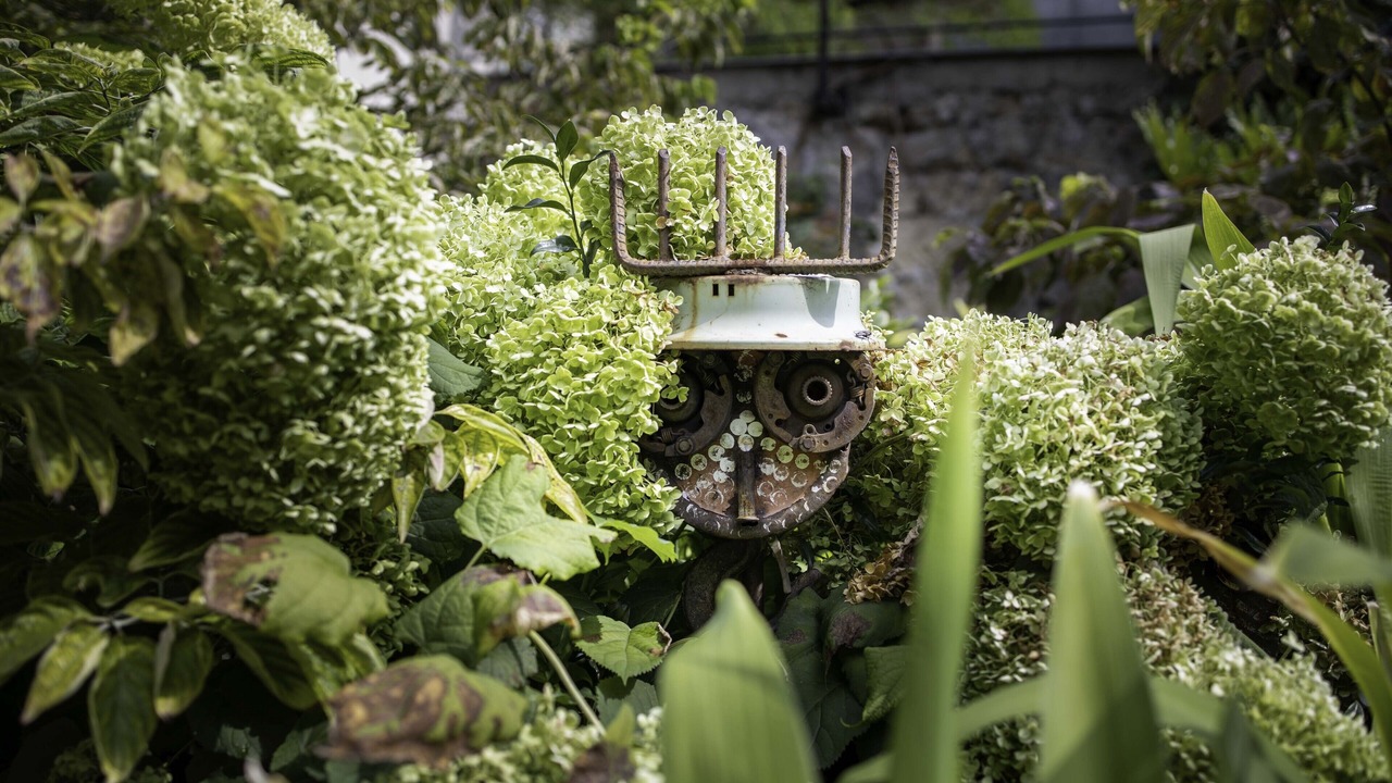 Photo of Outdoor in Ternes