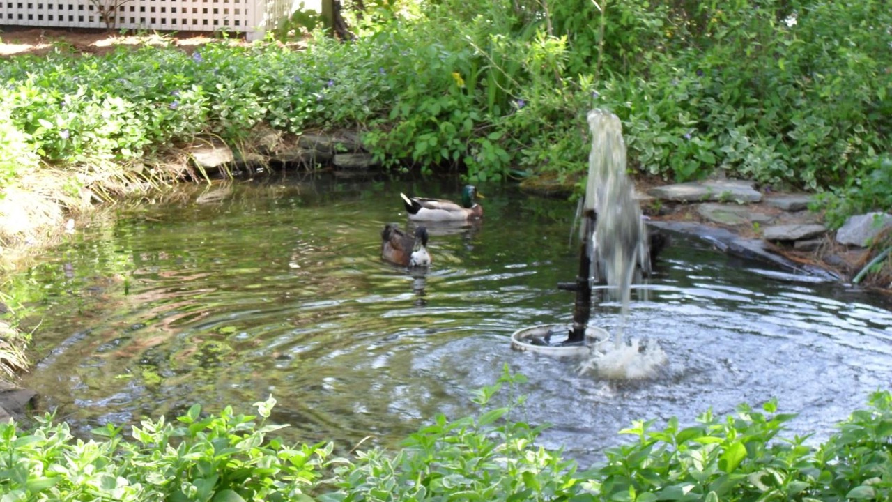 Photo of Outdoor in Chincoteague