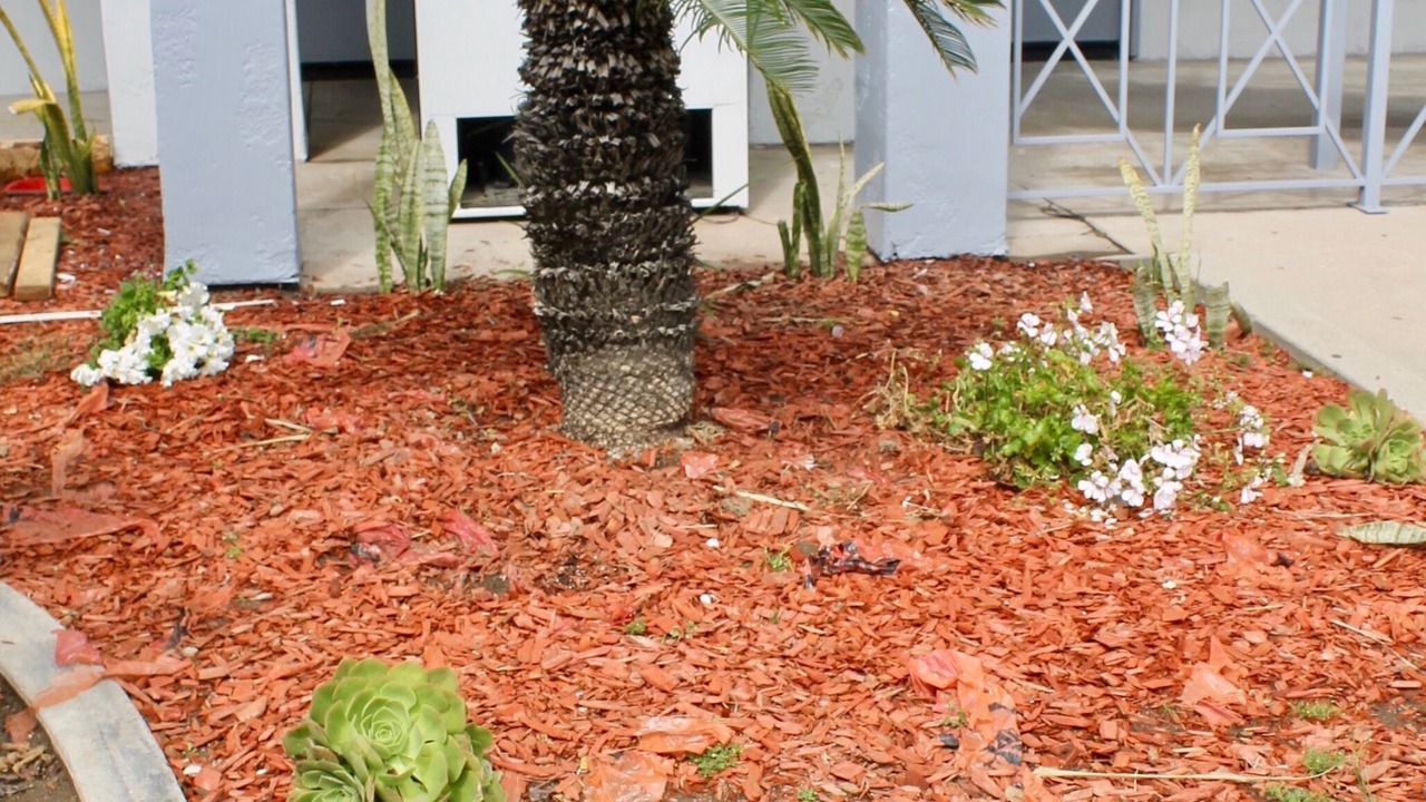 Photo of Outdoor in Harbor